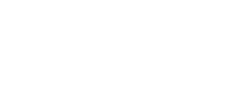 Bastion_Insights_Logo white